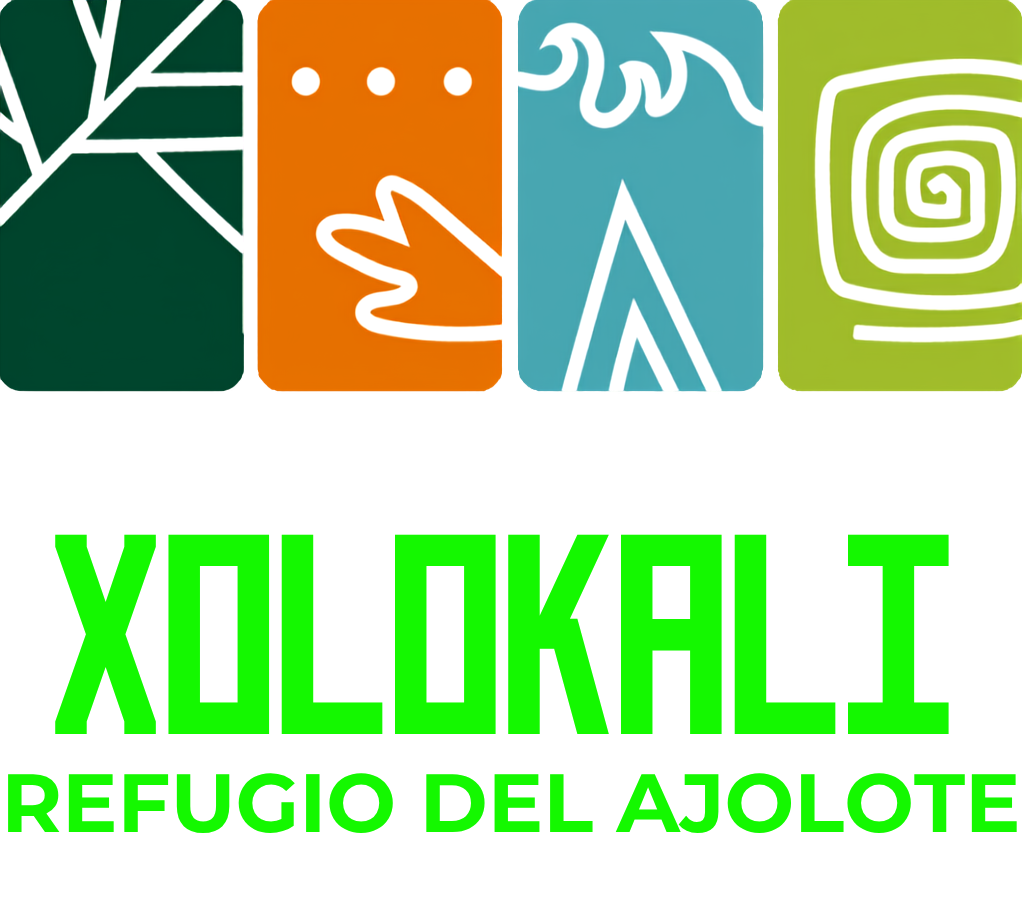Logo Xolokali