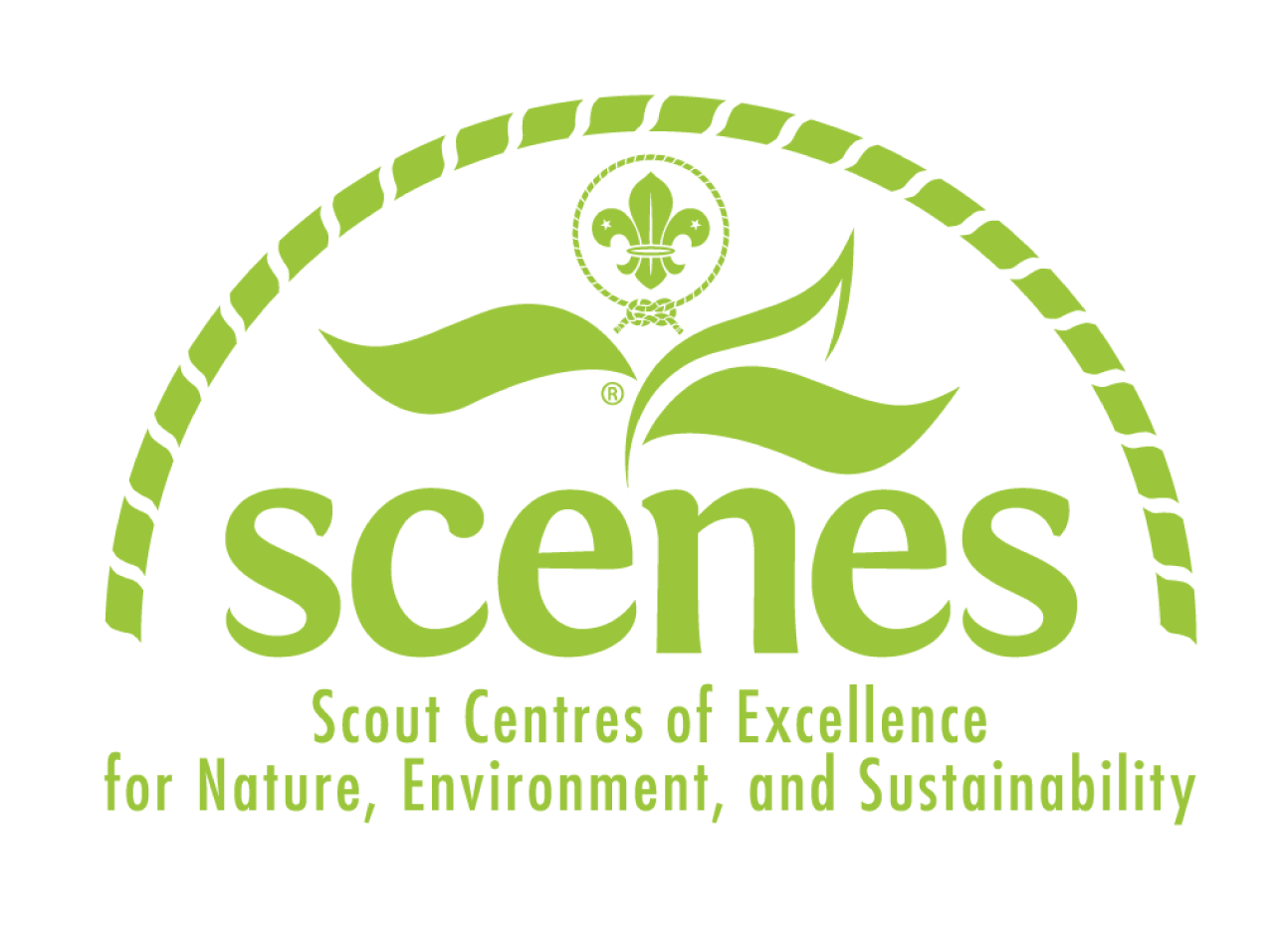 Logo SCENES al centro de la pañoleta